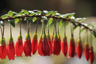 深圳盐田区私人快速借钱网，轻松解决资金难题