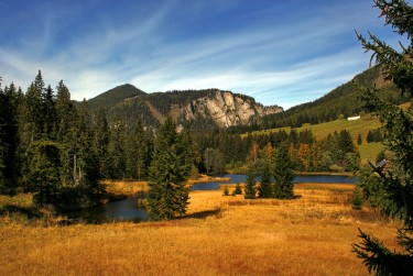 深圳盐田区民间私贷攻略：揭秘低成本借贷的秘密