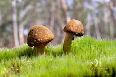 深圳盐田区私人老板放款：轻松融资的秘密通道